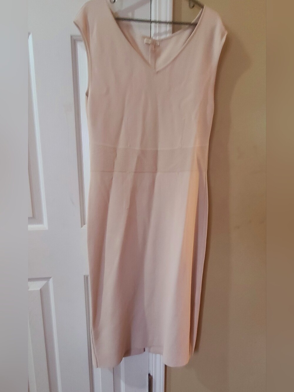 Eva Mendes sheath Dress